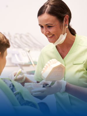 A female dentist wears a jacket and holds a model set of teeth in her hand.